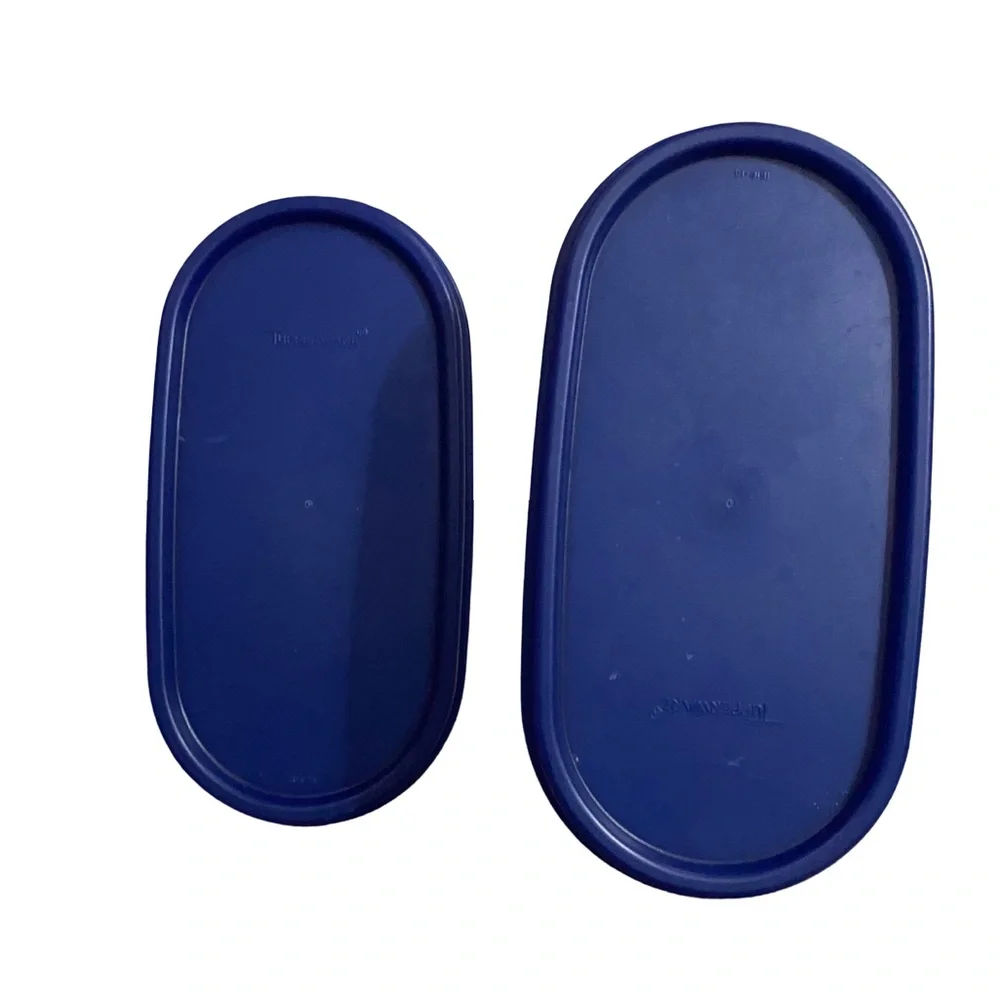 Tupperware Modular Mates Oval Storage Containers W/Blue Lids Set Of 2(#4 & 5)